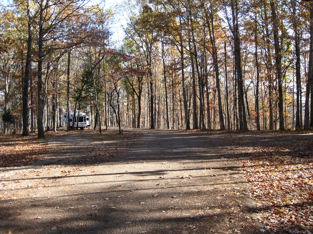 Elevation of Summertown, TN, USA Topographic Map Altitude Map