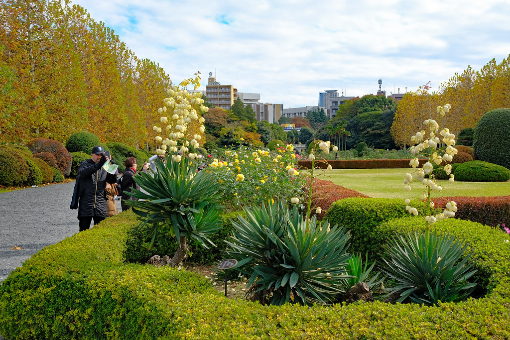 Shinjuku Gardens, Tokyo, Japan.10 Shinjuku Gyoen (新宿御苑) i… Flickr