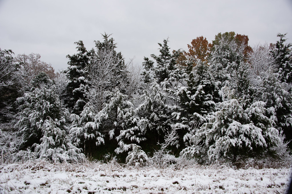 2018 Mid Missouri Winter Weather and Roadways Flickr