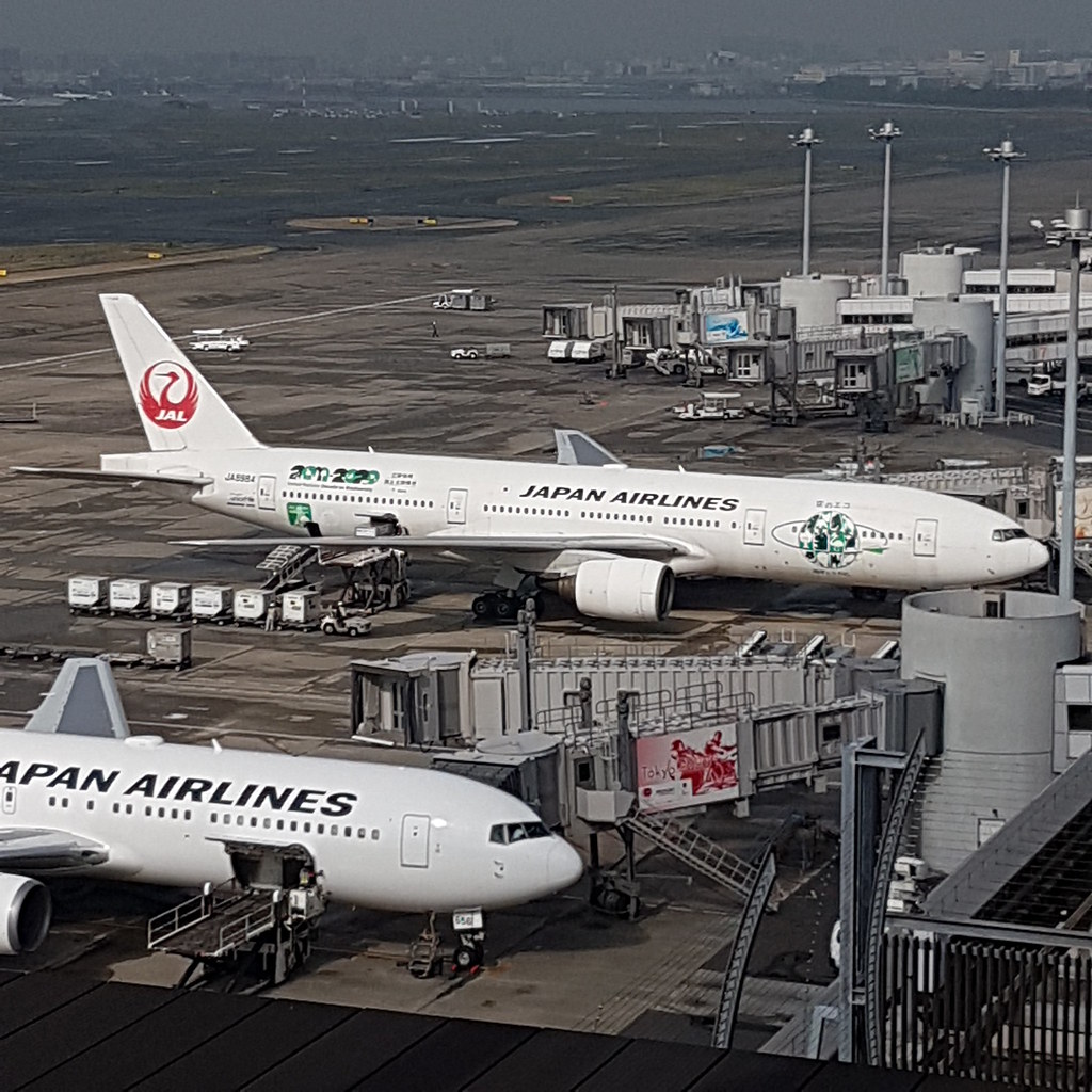 20181105_095842 JAL DOMESTIC TERMINAL, HANEDA AIRPORT, TOK… Flickr