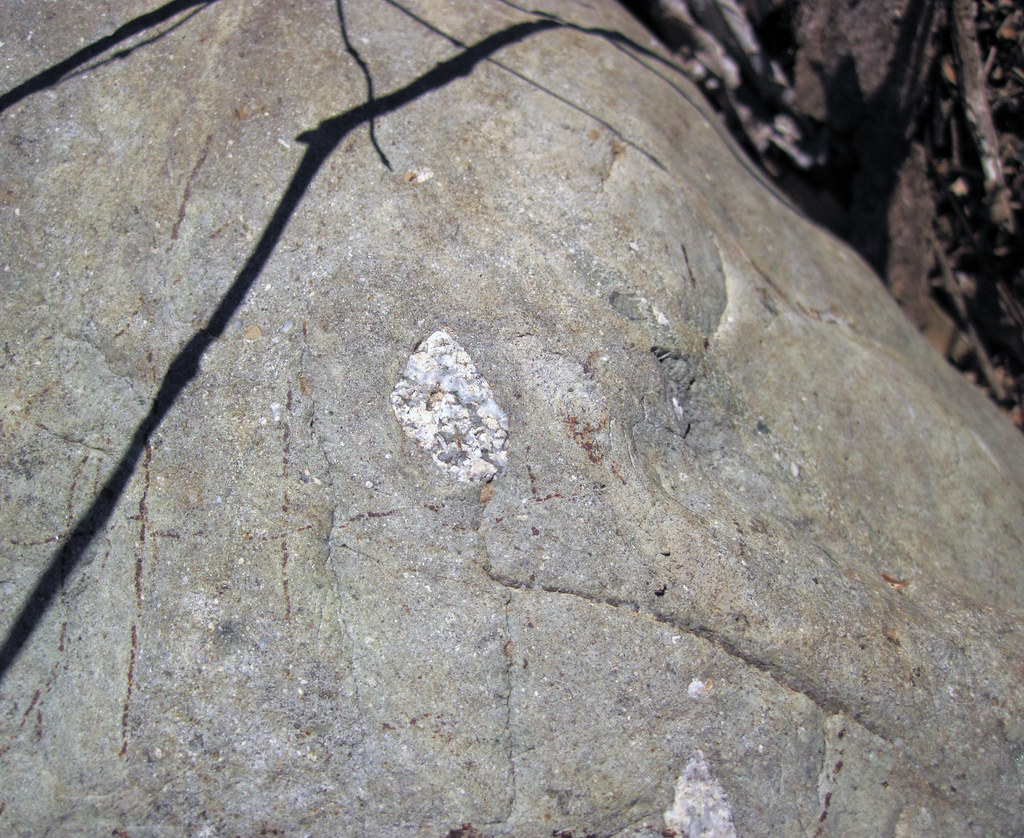 Metatillite (Diamictite) (Gowganda Formation, Paleoprotero… Flickr