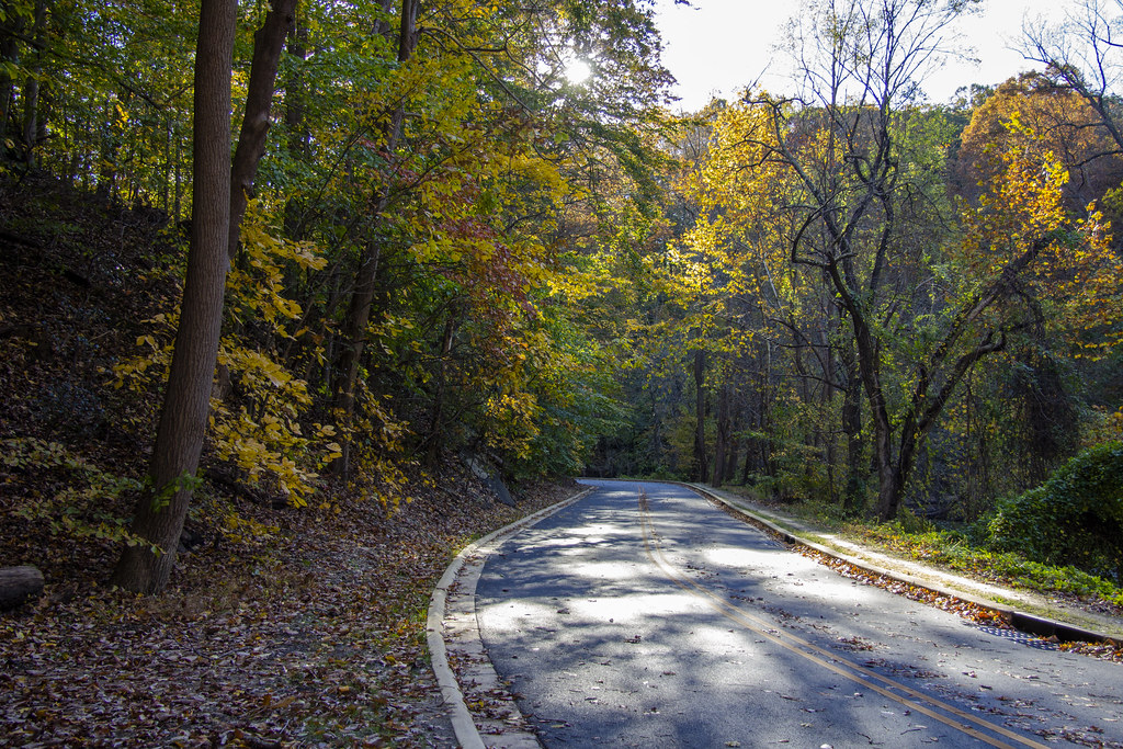 Rock Creek Park 3 Nov 2018 (182) smata2 Flickr