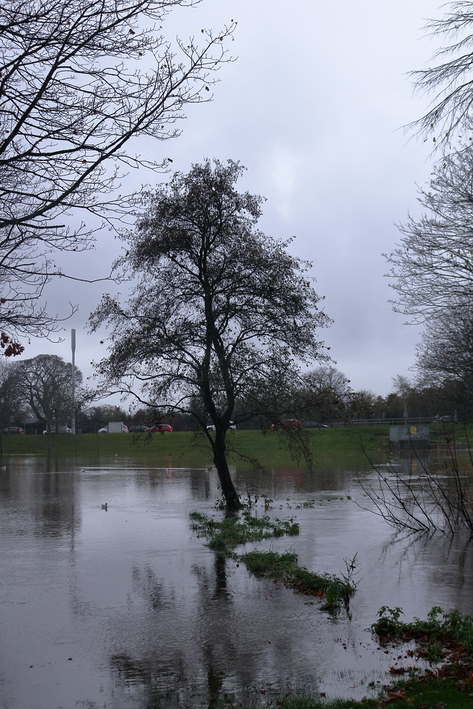 Denburn Flood Overflow,Kings Gate,Aberdeen_Nov 18_470 Flickr