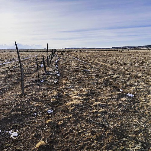 I have this land for sale. County road runs through it, ab… Flickr