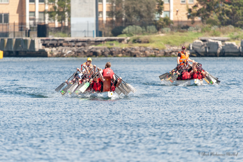 Yarra River Dragons dragon boat club doing regatta trainin… Flickr