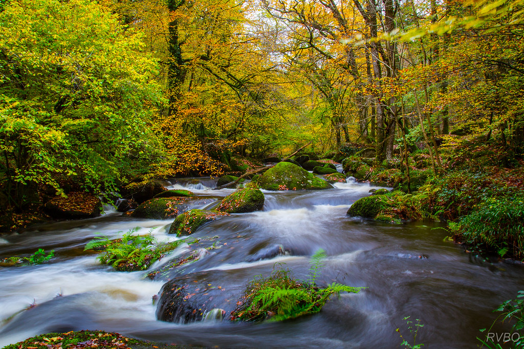 Et au milieu coule une rivière (Explore) RVBO Flickr