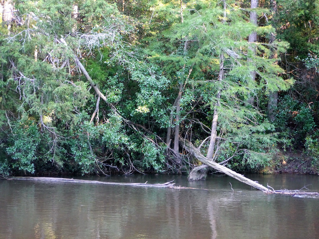 Styx River, Robertsdale Al. Larry Flickr