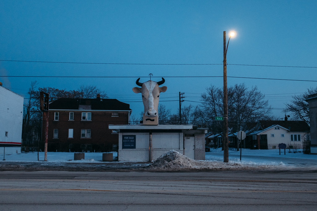 February 1, 2019 Giant Cow Head Detroit, Michigan Kevin Chang Flickr