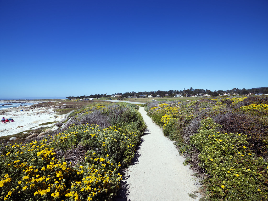 17Mile Drive is a scenic road through Pacific Grove and Pebble Beach