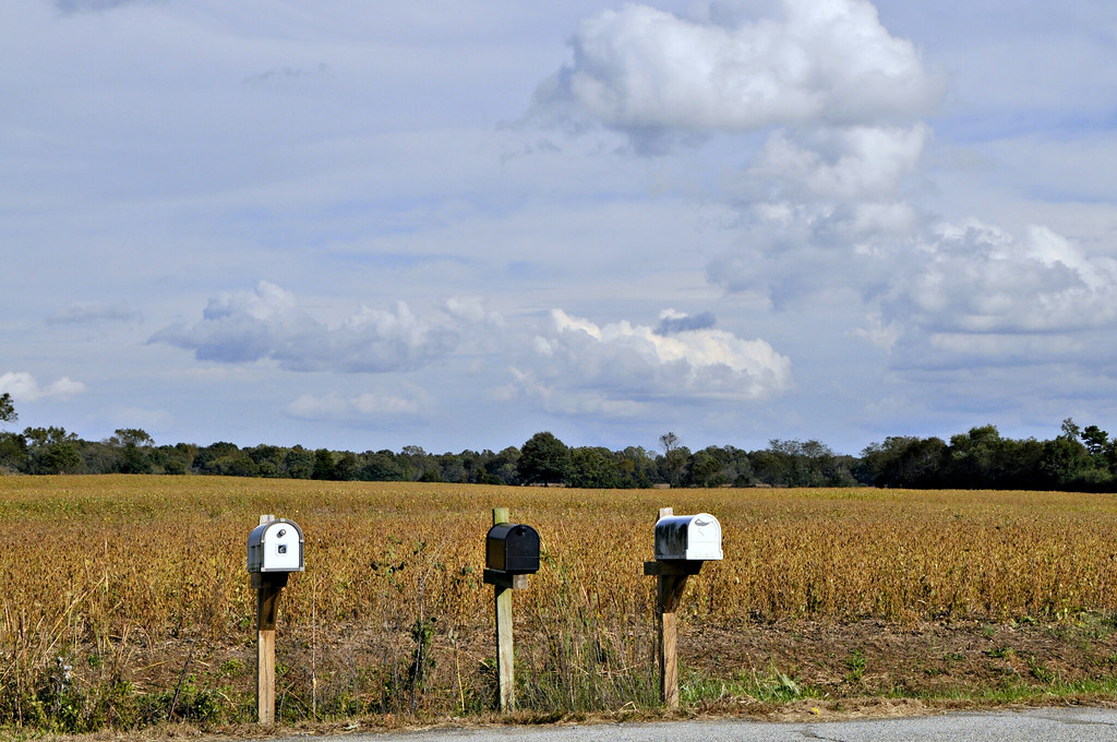 RFD Templeville, MD William Johns Flickr