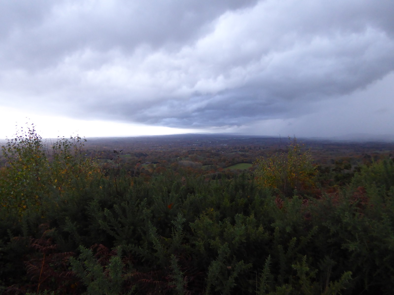 Photos Holmwood to Shamley Green Walk SWC