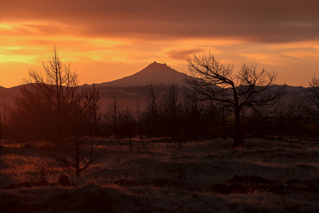 Mt. Jefferson2 Mount Jefferson is a stratovolcano in the … Flickr