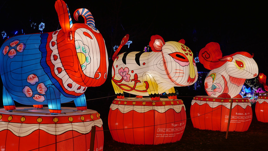 X_P1120602 Chinese Lantern Winter Festival, Staten Island,… Flickr