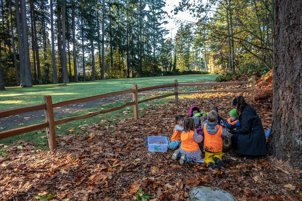 Five Mile Lake Park Tiny Trees classroom King County Parks Your Big