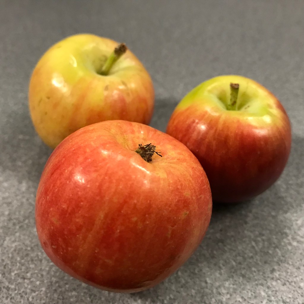 Top 10 Most Disease Resistant Apple Trees Home Garden Vegetables