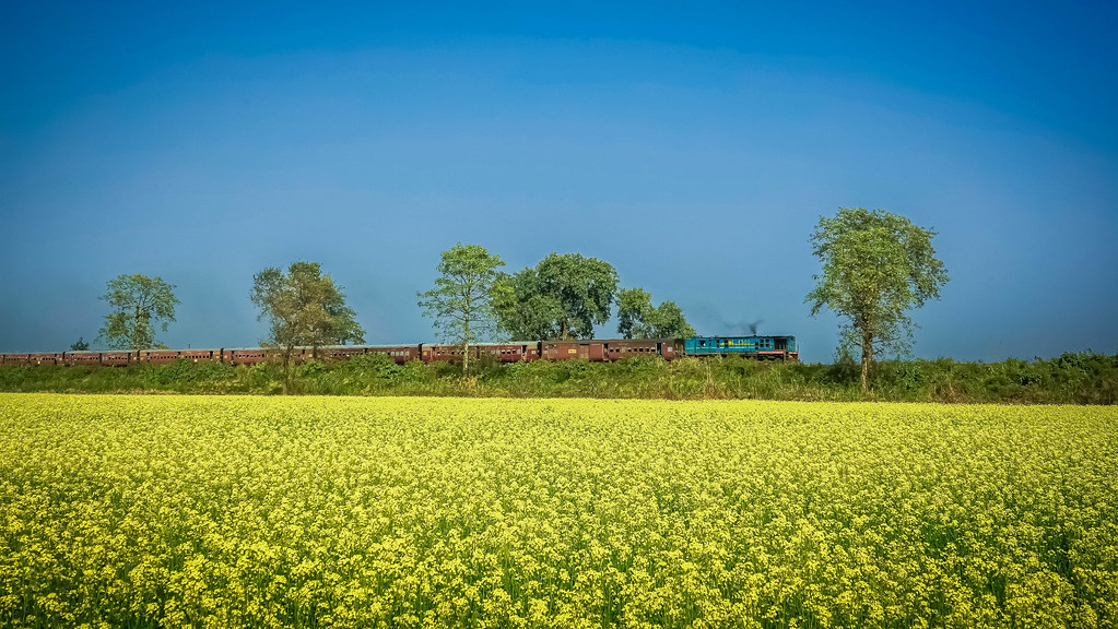 Not a scene from DDLJ This large mustard field near Khaira… Flickr