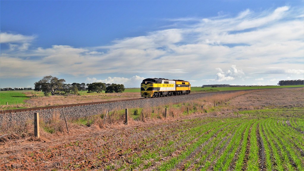 20170731D764V1Westmere Date 31st July 2017. Location … Flickr