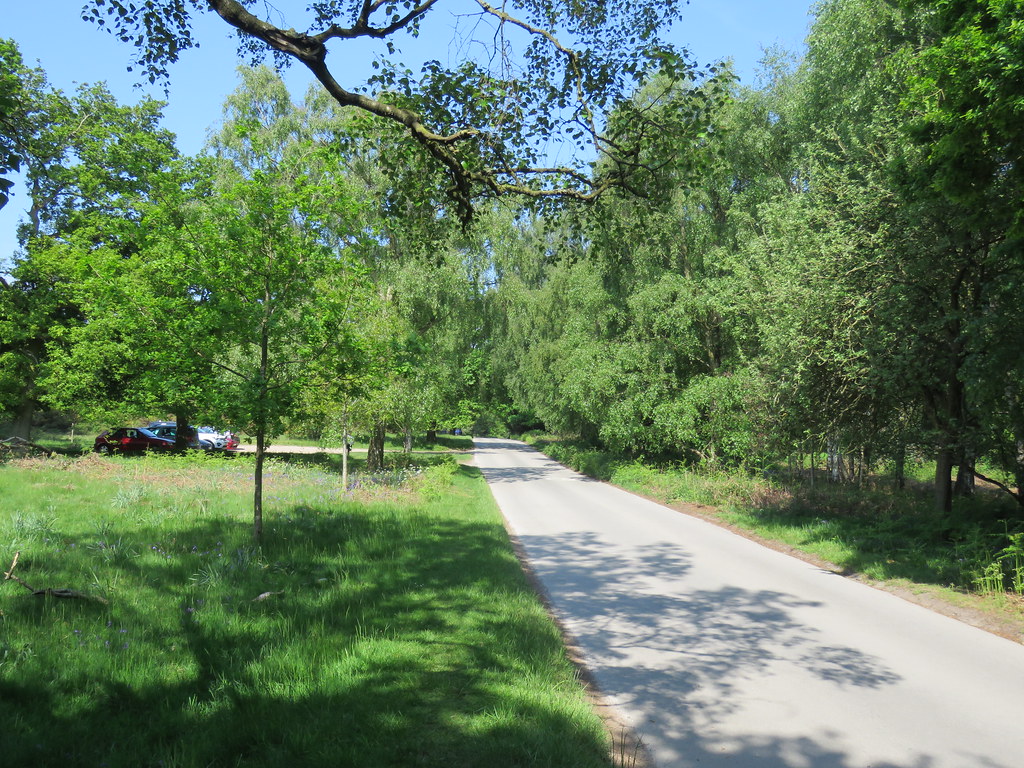 Sutton Park (Streetly Wood), Birmingham 20.5.2018 Steven Falk Flickr
