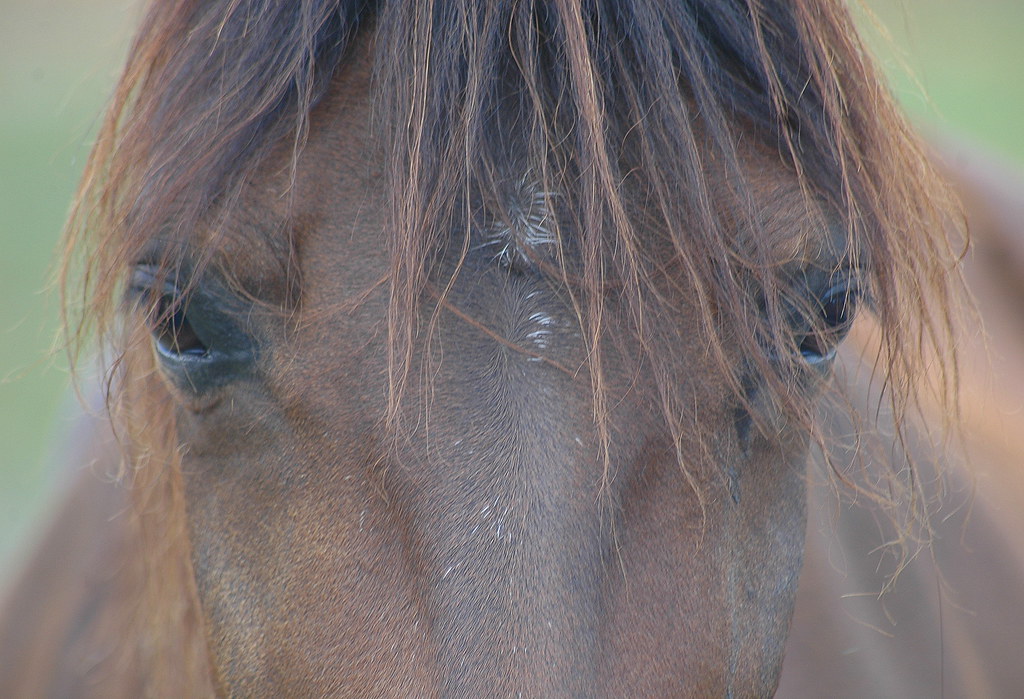 Hair in my eyes Arli Castillo Flickr