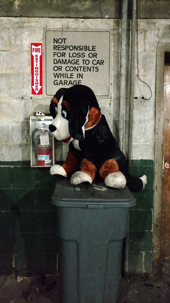 doggie in the garage The Parkstone. Detroit, Michigan. kiminnyc