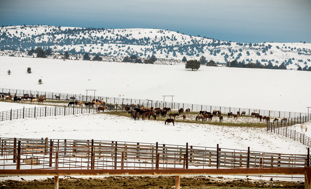 Wild Horse Corral Facility Hines, Oregon Photo by Greg S… Flickr
