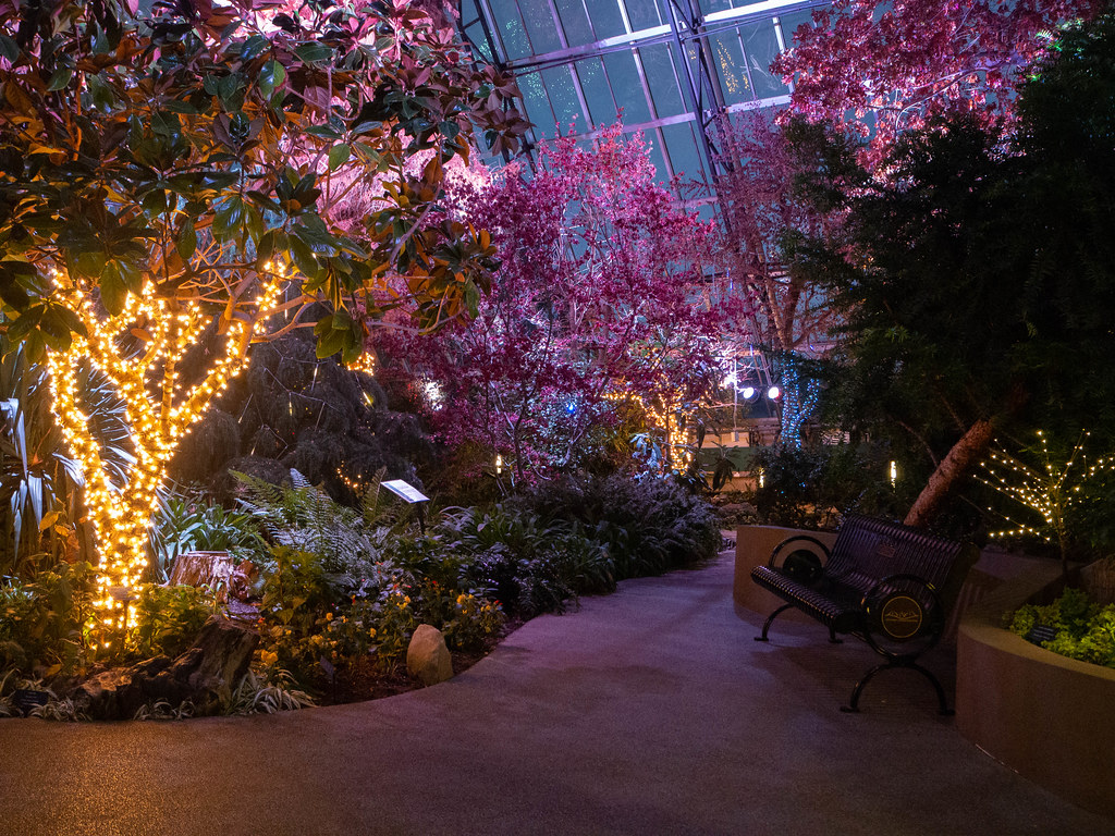 Christmas Lights Display... Muttart Conservatory, Edmonton… Flickr