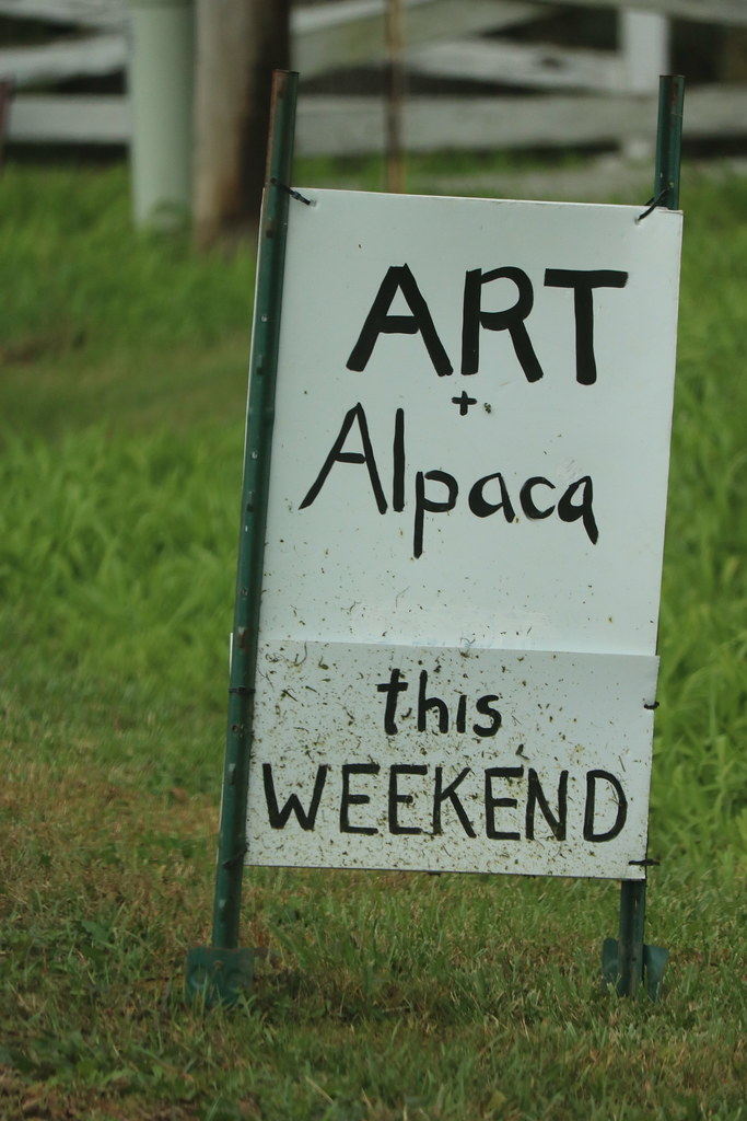 Alpaca Farm Days 2018 Waldron Grove Alpaca Farm Flickr