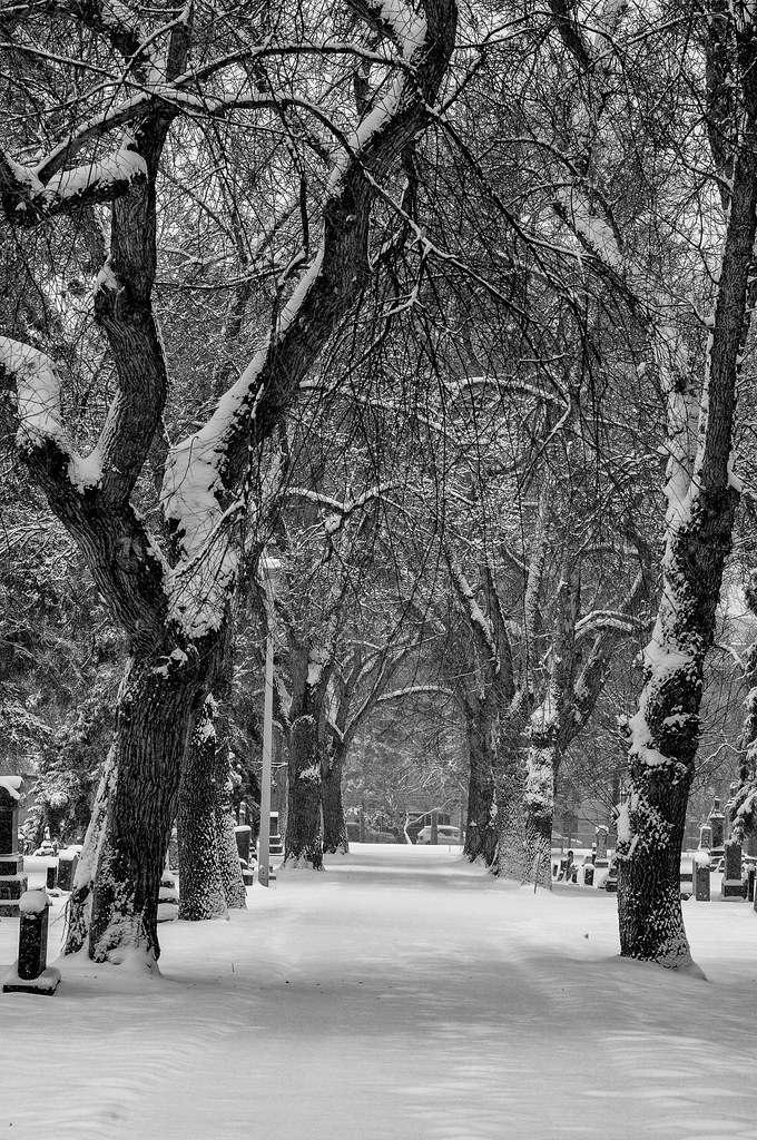 Fresh Snow in St. Joachim Catholic Cemetery or the Edmonto… Flickr