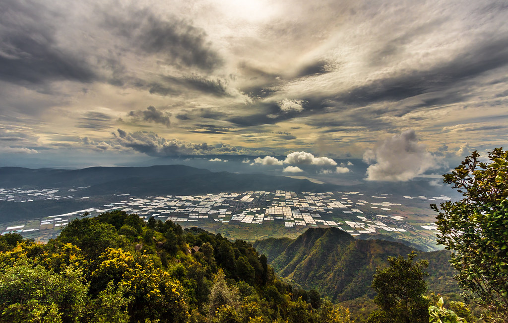 Cerro Viejo, Jalisco El Cerro Viejo es una montaña ubicada… Flickr