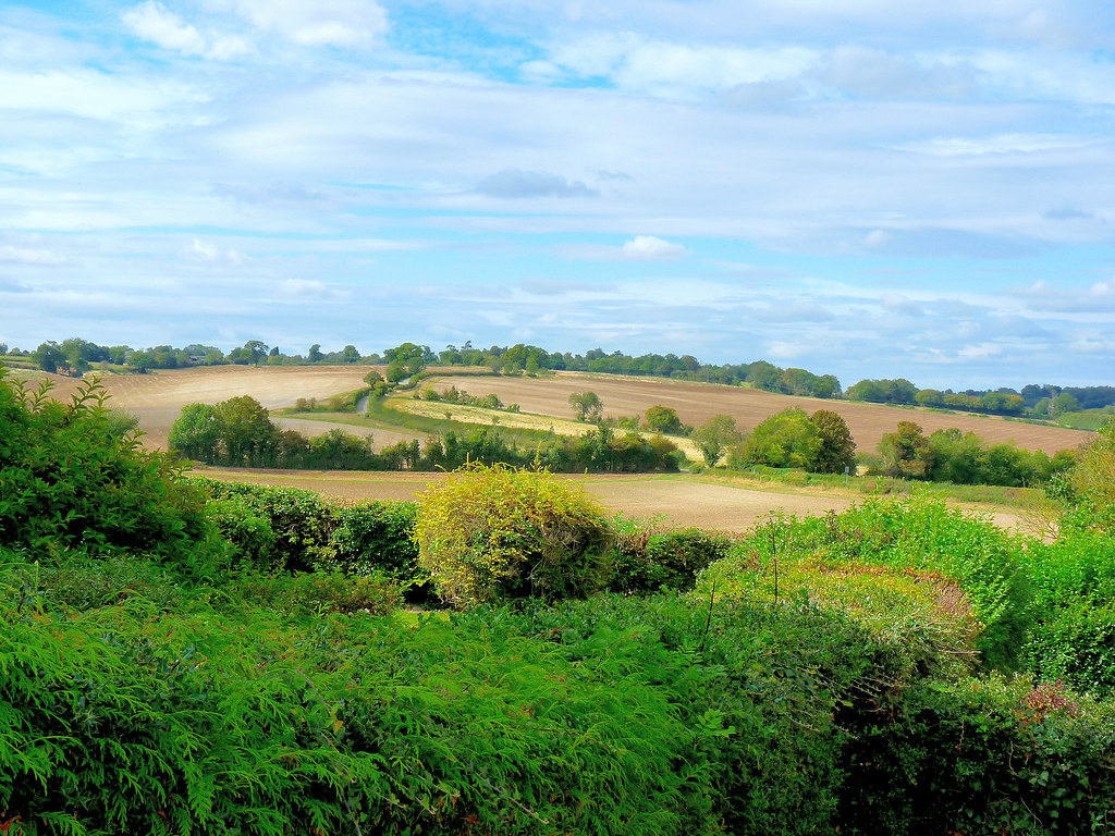 P1050815 Towards Bendish from Horn Hill, Whitwell, Hertfor… Flickr