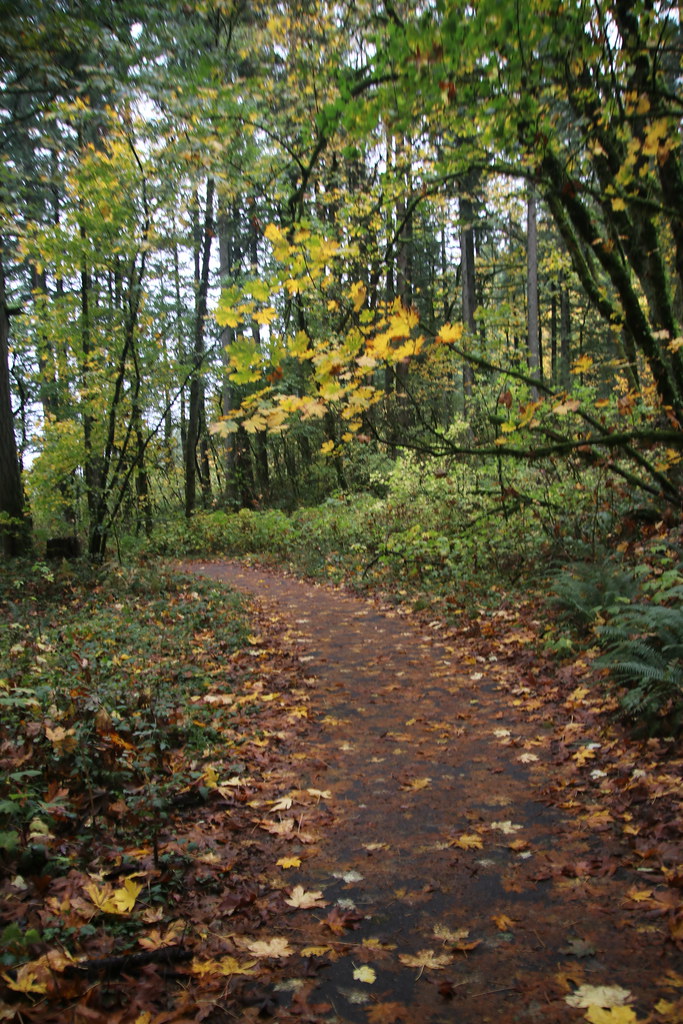 Visit to Bridal Veil Falls State Scenic Viewpoint (Bridal … Flickr