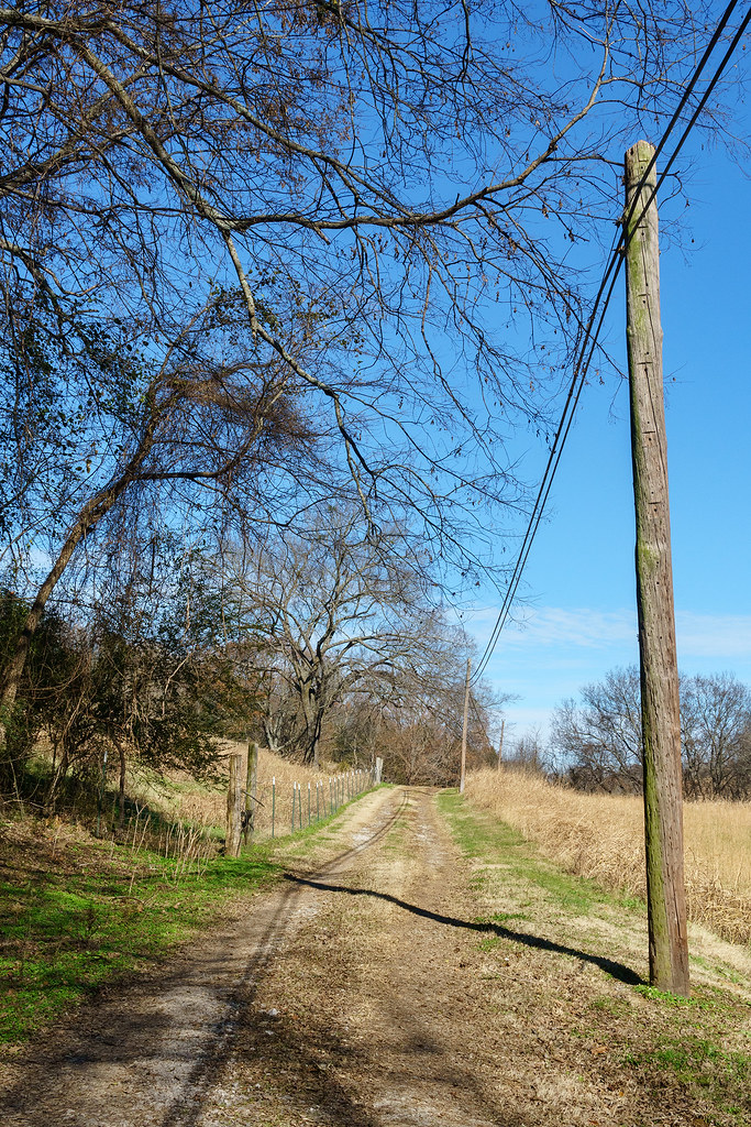 Beside The Utility Line Maury County, Tennessee Flickr