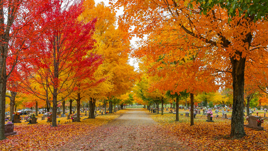 Maplewood Cemetery Harrison, AR This place was crawling wi… Flickr