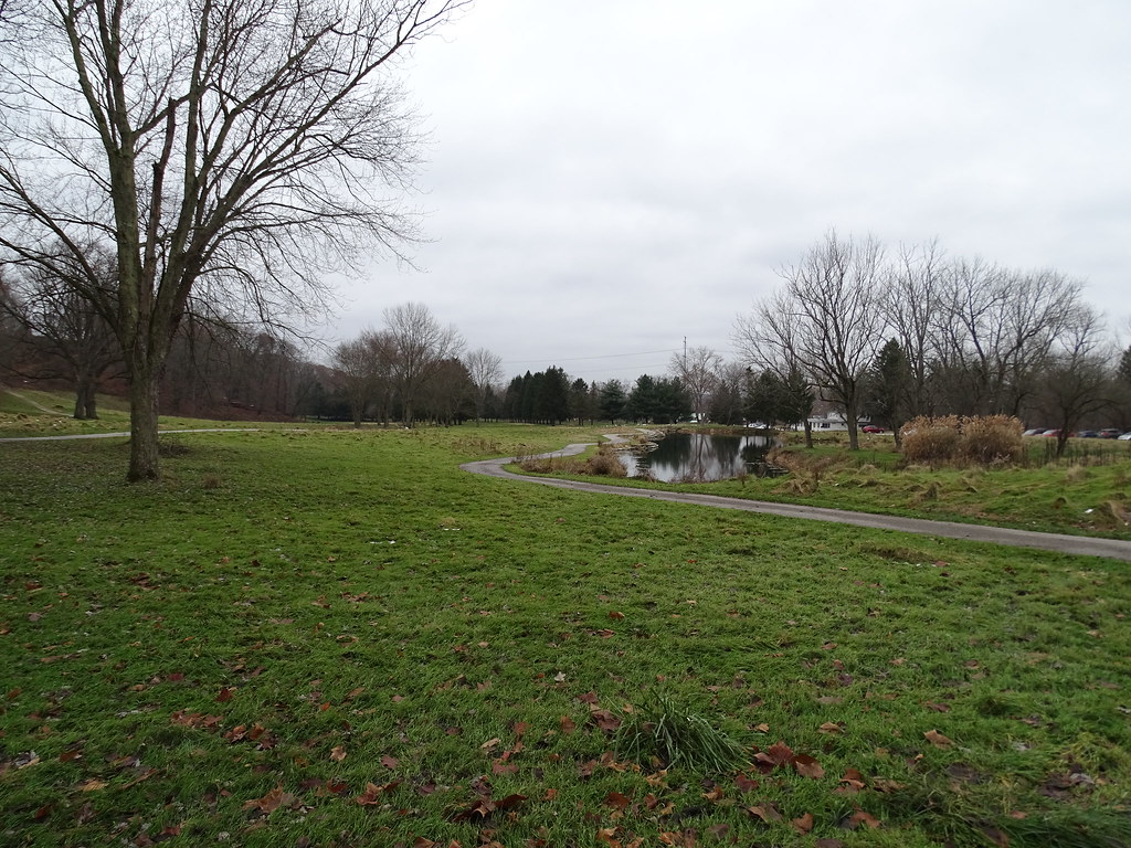 Woodlands of Bedford Astorhurst Park 12118 (10) Frank J. Comodeca