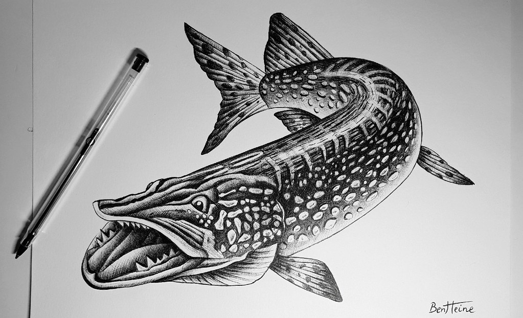 Image de Eau Dessin Au Bic Tuto