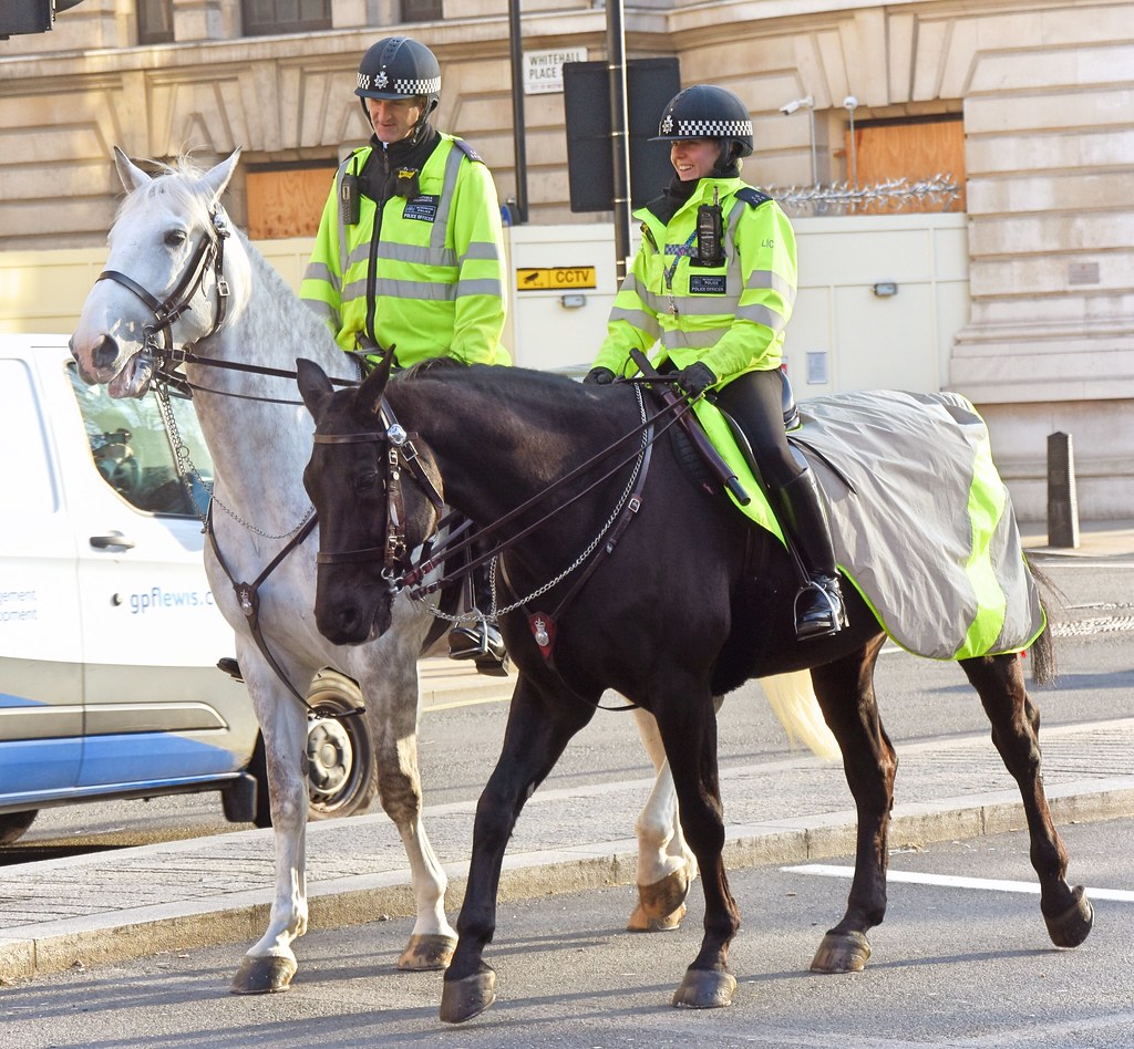 Metropolitan Police Horses Whitehall, London. Charles Dawson Flickr