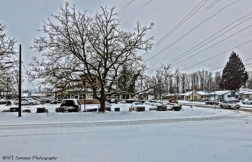 2019 First Snow in WA Ted Flickr