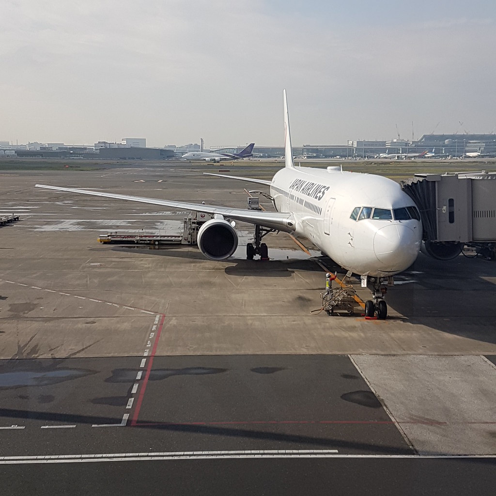 20181105_103954 JAL DOMESTIC TERMINAL, HANEDA AIRPORT, TOK… Flickr