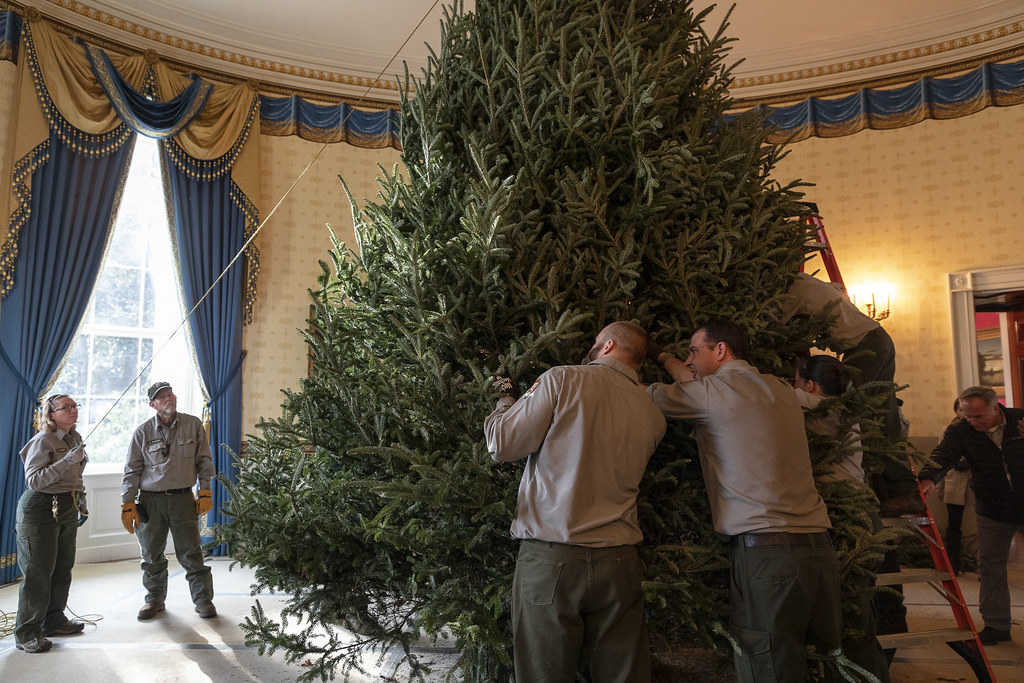 Delivery of the White House Christmas Tree National Park S… Flickr