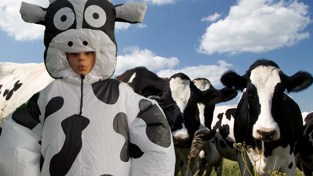 Halloween in the Park 2018 The Friendswood Library used a … Flickr