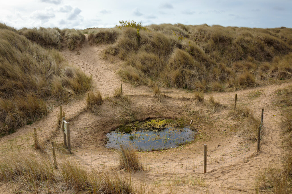 Dune Slack Ainsdale Nature Reserve Dune slack, habitat o… Flickr