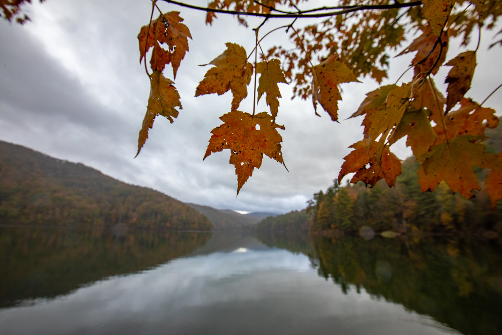 Switzer Lake Macson Mcguigan Flickr