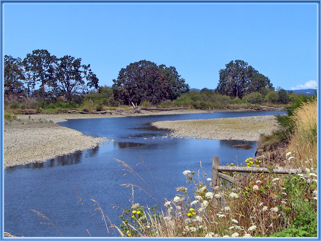 Nanaimo River Estuary Tide is out at the estuary on the Na… Flickr