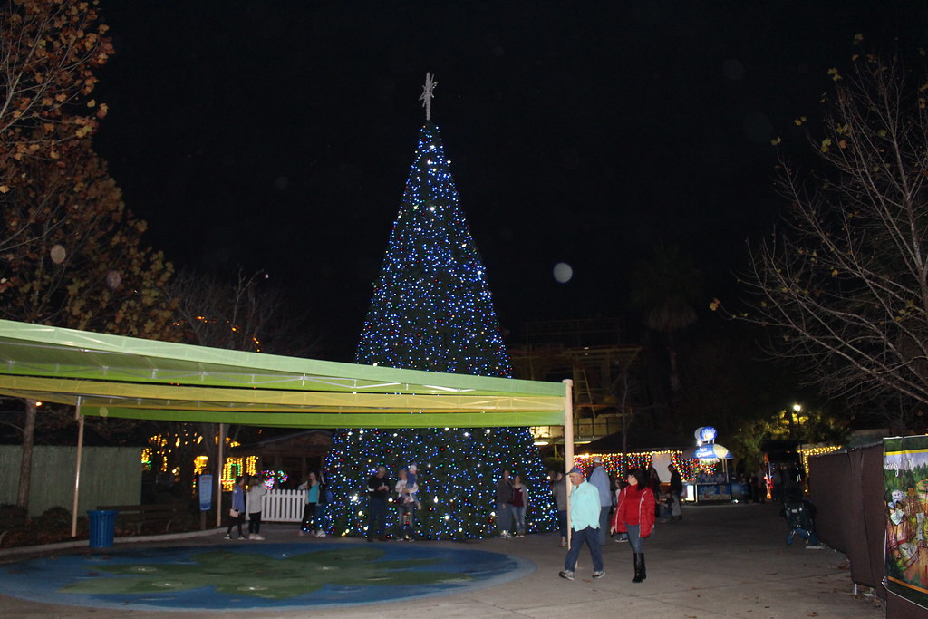 Wild Adventures Christmas Wild Adventures Christmas 2018 16 Wild Adventures Christma… Flickr