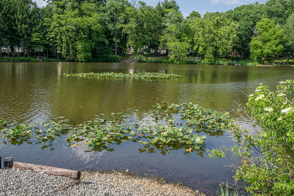 Jamesburg, New Jersey Thompson Park, Middlesex County. Flickr