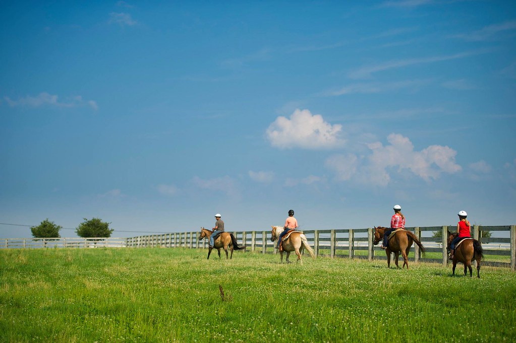 Nookside Stables Lancaster's Horseback Riding Adventure Flickr