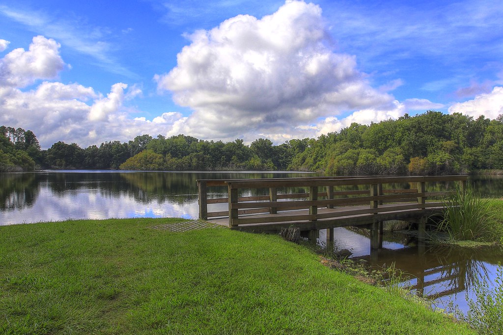 Lake Alice at University of Florida This is one of my favo… Flickr