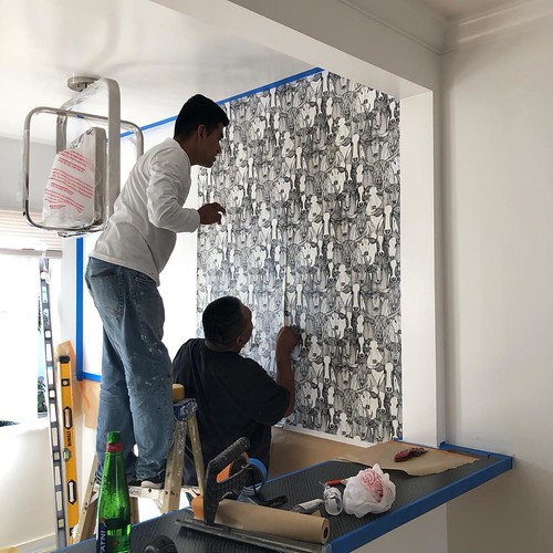 Tracy Metro House Doctor 'just cattle black white' Flickr