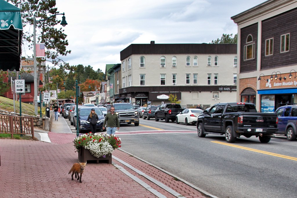 Lake Placid New York Main Street Commercial Area Wild… Flickr