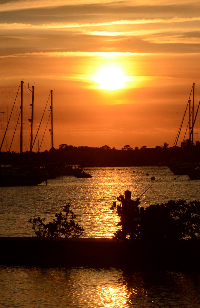 Saint Lucie River, South Fork. Steven Oldak Flickr